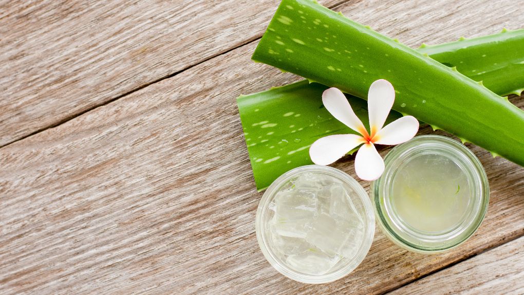 Les bienfaits de l’aloe vera